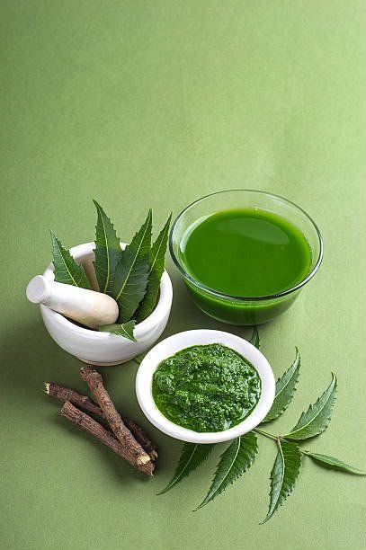 Hojas y extracto de neem, ingrediente del desodorante natural Rossieli